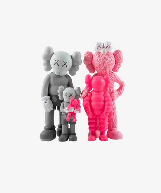 KAWS - Family - Vinyl Gray / pink